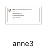 anne3